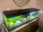 Tekoop 2 bijna nieuwe aquariums ook pst mogelijk, Dieren en Toebehoren, Vissen | Aquaria en Toebehoren, Ophalen of Verzenden, Zo goed als nieuw