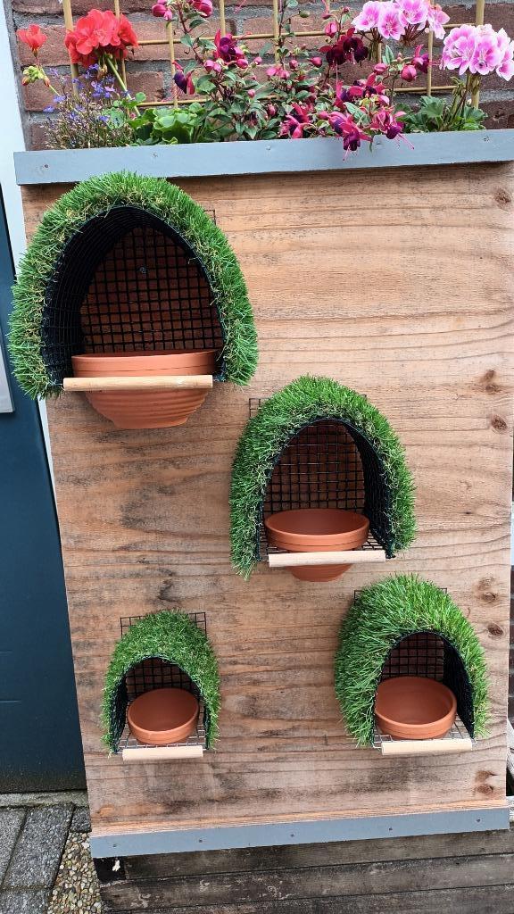 Nestkasten europese vogels., Dieren en Toebehoren, Vogels | Overige Vogels, Wildzangvogel, Meerdere dieren, Geringd
