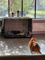 Hondenbench met orthopedisch hondenkussen, Ophalen