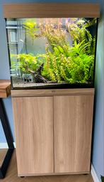 Juwel Aquarium + Juwel kast. Lido 120 LED., Dieren en Toebehoren, Ophalen, Zo goed als nieuw, Gevuld zoetwateraquarium