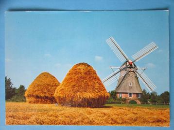 Ansichtkaart: Ruinen. Groeten uit.. beschikbaar voor biedingen