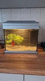 Aquarium 30 liter, Dieren en Toebehoren, Vissen | Aquaria en Toebehoren, Ophalen of Verzenden, Leeg aquarium