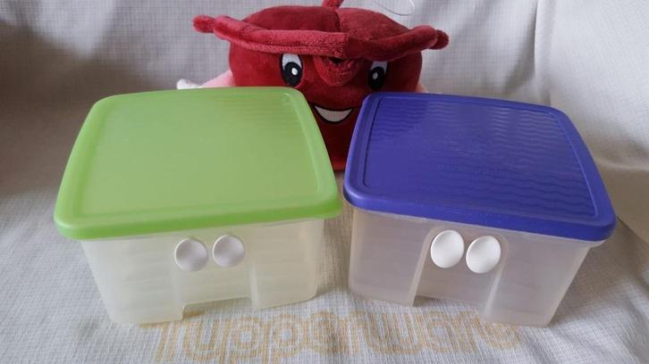 Tup ad 4: FridgeSmart, vershouddoos, koelkastdoos v.a. €3.50, Huis en Inrichting, Keuken | Tupperware, Gebruikt, Overige typen