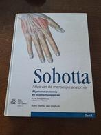 Waschke - 1 Algemene anatomie en bewegingsapparaat, Ophalen of Verzenden, Zo goed als nieuw, Waschke; Paulsen