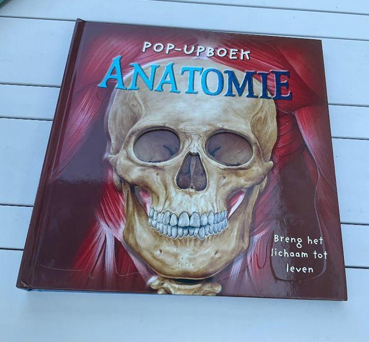 pop-upboek anatomie breng het lichaam tot leven leerzaam, Boeken, Wetenschap, Nieuw, Overige wetenschappen, Ophalen of Verzenden
