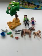 Playmobil paarden arts 6949, Ophalen of Verzenden, Zo goed als nieuw