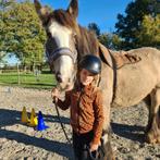 Bijles op een paard (rekenen, spelling, klokkijken, lezen), Diensten en Vakmensen, Bijles, Privé-les en Taalles, Privéles, Bijles
