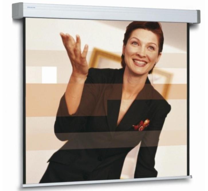 Projectiescherm Projecta Elpro RF Electrol 240 x 183, Audio, Tv en Foto, Projectieschermen, Gebruikt, Elektrisch, Ophalen