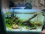 Aquarium lamp dennerle Nano Marinus 36w nieuw €100, Dieren en Toebehoren, Ophalen of Verzenden, Zo goed als nieuw, Verlichting of Verwarming