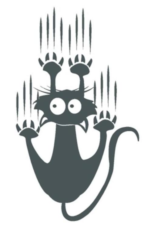 auto caravan camper sticker scratch cat, Auto diversen, Tuning en Styling, Ophalen of Verzenden