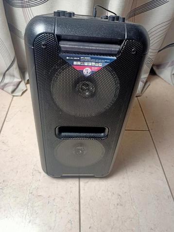 karaoke speaker multi functionaliteiten en nieuwe microfoons beschikbaar voor biedingen