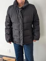 Cassani winterjas dames, Kleding | Dames, Jassen | Winter, Zwart, Maat 46/48 (XL) of groter, Ophalen of Verzenden, Zo goed als nieuw