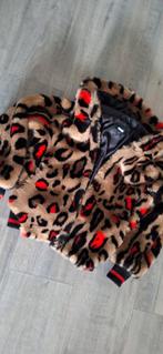 tussen jas maat xs, Kleding | Dames, Ophalen of Verzenden, Zo goed als nieuw, Maat 34 (XS) of kleiner