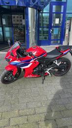 Honda CBR500R 2024 - Origineel, Motoren, 2 cilinders, Bedrijf, Sport, Minimaal motorrijbewijs A2