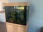 Juwel Lido 200 aquarium, Ophalen, Zo goed als nieuw, Leeg aquarium