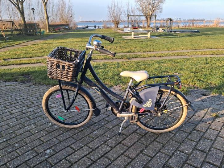 20 inch Meisjesfiets - Loekie, Fietsen en Brommers, Fietsen | Meisjes, Gebruikt, 20 inch, Ophalen