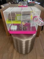 Hamsterkooi, Minder dan 60 cm, Kooi, Minder dan 75 cm, Ophalen of Verzenden