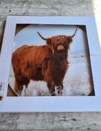 2 glazen schilderijen Schotse hooglanders, Ophalen of Verzenden, Nieuw, Schilderij, Minder dan 50 cm