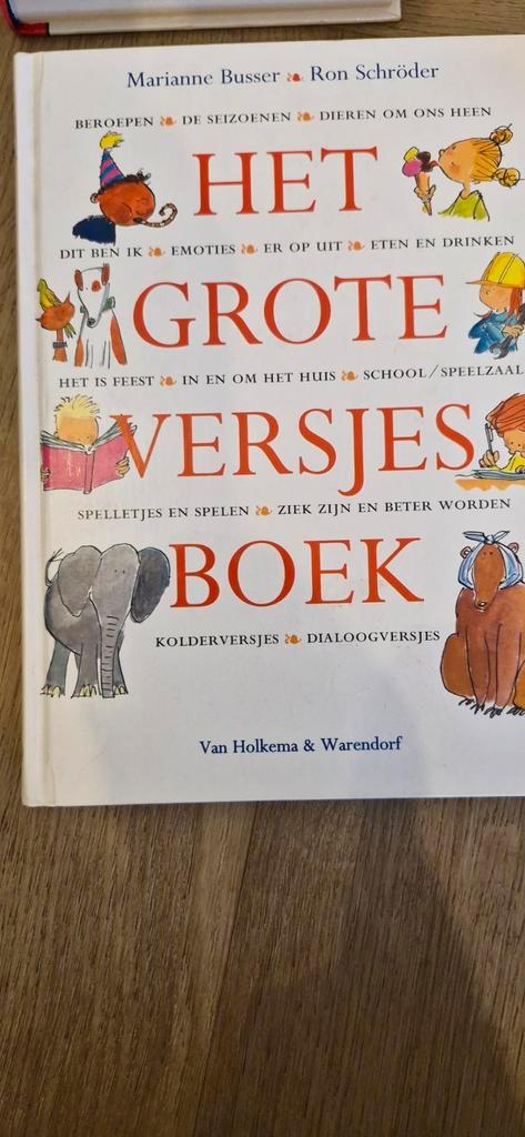 Het Grote Versjesboek - Busser & Schröder, Boeken, Kinderboeken | Jeugd | onder 10 jaar, Gelezen, Fictie algemeen, Ophalen of Verzenden