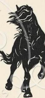 Ruiter gezocht, ervaring vereist, Dieren en Toebehoren, Ophalen of Verzenden, Dressuur