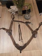 Borsttuig Met Martingaal QHP Sedna Bruin, Dieren en Toebehoren, Ophalen of Verzenden, Springen