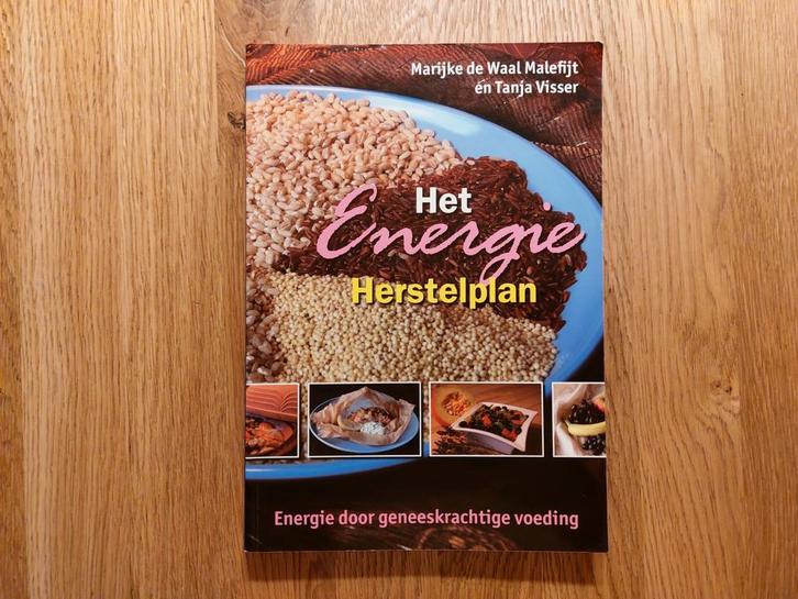 T. Visser - Het Energie Herstelplan, Boeken, Kookboeken, Zo goed als nieuw, Ophalen of Verzenden