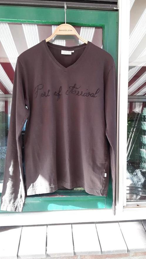 Prachtige katoen truitje van WE, M bruin, Kleding | Dames, Truien en Vesten, Zo goed als nieuw, Maat 38/40 (M), Bruin, Verzenden