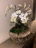 Schelpenvaas brons met kunstorchidee Eric Kuster, Ophalen, Gebruikt, Binnen