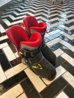 Skischoenen maat 195, Sport en Fitness, Skiën en Langlaufen, 160 tot 180 cm, Gebruikt, Schoenen, Skiën