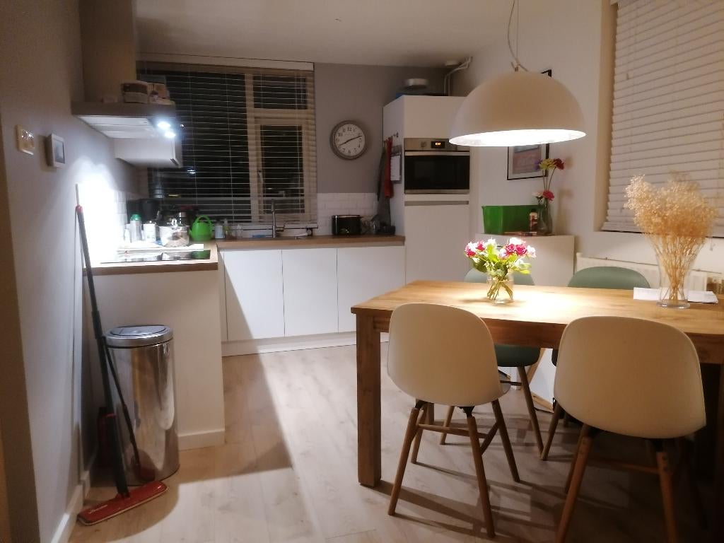 Hanglamp, Ophalen, Gebruikt, Minder dan 50 cm