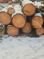 Kachelhout te koop, Tuin en Terras, 6 m³ of meer, Ophalen of Verzenden, Overige houtsoorten, Stammen