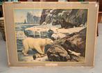 Schoolplaat ijsbeer - vintage retro poster Koekkoek, Ophalen, Natuur en Biologie