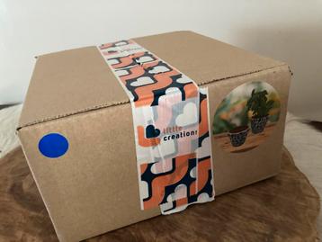 Knutselpakket Keramieken (bloempotjes), NIEUW IN DE DOOS beschikbaar voor biedingen