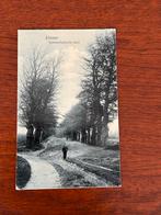 Oude ansichtkaart Rhenen - Veenendaalsche laan, Verzenden, Voor 1920, Gelopen, België en Luxemburg
