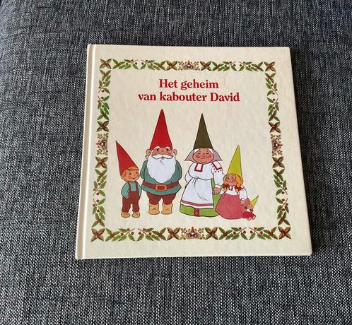 Het geheim van kabouter David, Boeken, Kinderboeken | Kleuters, Gelezen, Non-fictie, 5 of 6 jaar, Jongen of Meisje, Ophalen of Verzenden