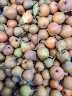 Kleine stoofperen biologisch, Ophalen