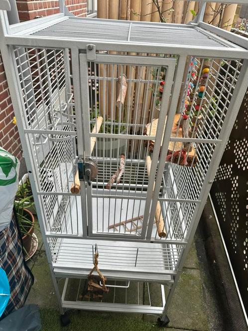Papegaaien kooi Strong Helius, Dieren en Toebehoren, Vogels | Parkieten en Papegaaien, Parkiet, Mannelijk