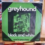 Single: greyhound - black and white, Cd's en Dvd's, Vinyl Singles, Ophalen of Verzenden, Pop