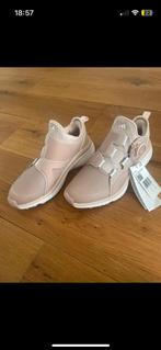 Nieuw! Adidas golf schoenen, Adidas, Nieuw, Ophalen of Verzenden, Sportschoenen