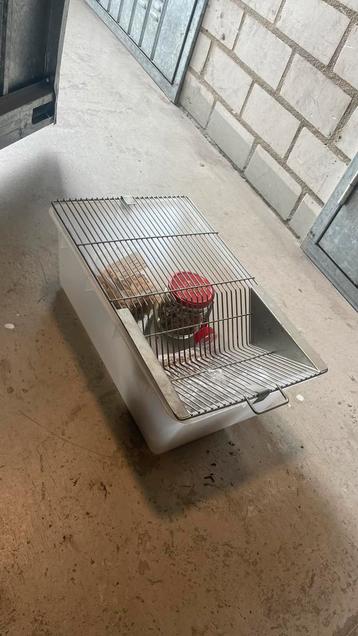 Kweekbak voor muizen beschikbaar voor biedingen