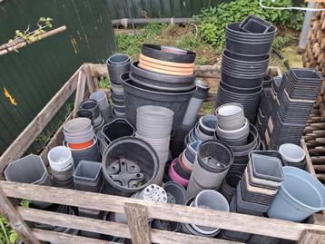Gratis potjes!! Heel veel!! Kweekpotten  beschikbaar voor biedingen