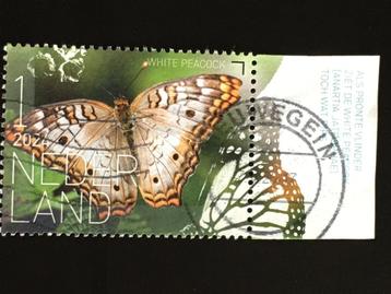2064 Nederland 2024 NVPH 4179 Vlinder Bonaire -  gestempeld beschikbaar voor biedingen