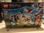 LEGO Harry Potter Zwerkbal Wedstrijd - Set 75956, Kinderen en Baby's, Speelgoed | Duplo en Lego, Ophalen of Verzenden, Zo goed als nieuw