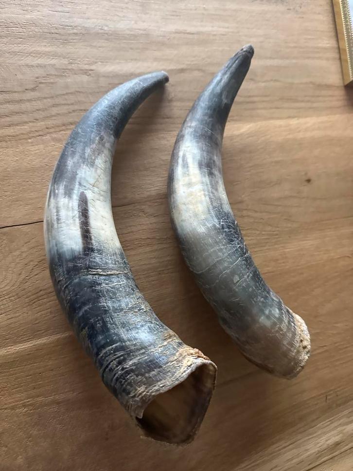 Set van 2 Natuurlijke Hoorns - Boho Decoratie, Antiek en Kunst, Antiek | Overige Antiek, Ophalen of Verzenden