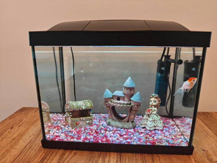 Aquarium met toebehoren Princess decoratie, Dieren en Toebehoren, Vissen | Aquaria en Toebehoren, Leeg aquarium, Ophalen