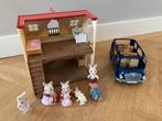 Sylvian Families Muizenhuis + Auto & Familie, Ophalen of Verzenden, Gebruikt, Jongen of Meisje