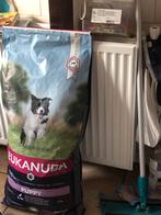 Eukanuba adult hondenbrokken.12 kg, Ophalen of Verzenden, Hond