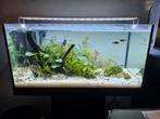 Aquarium aangeboden, Dieren en Toebehoren, Vissen | Aquaria en Toebehoren, Ophalen, Zo goed als nieuw, Leeg aquarium
