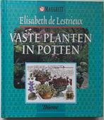 Vaste planten in potten - Elisabeth de Lestrieux, Ophalen of Verzenden, Zo goed als nieuw, Tuinieren en Tuinplanten