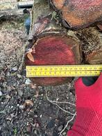 Taxus Draaihout stammen, Minder dan 3 m³, Ophalen, Overige houtsoorten, Takken